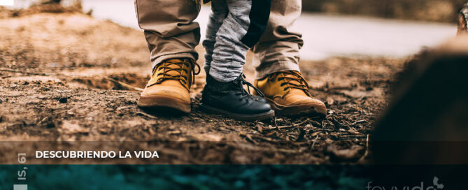 Descubriendo la vida