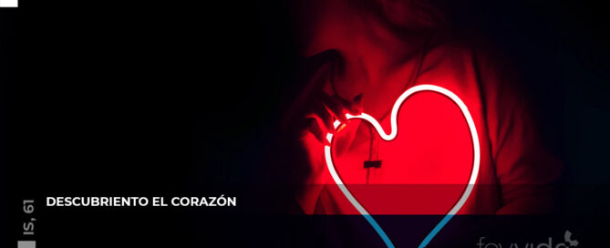 Descubriendo el corazón